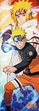 Naruto and Namikaze Minato Uzumaki 352-24 352 piece Shippuden - NARUTO-Naruto (japan import)