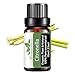 Huile Essentielle Citronnelle pour Diffuseur,Huile Citronnelle Huiles Parfumées Citronnelle pure Huile Aromathérapie Citronnelle qualité Thérapeutique 10ml pour Humidificateur,Bougies,Savon