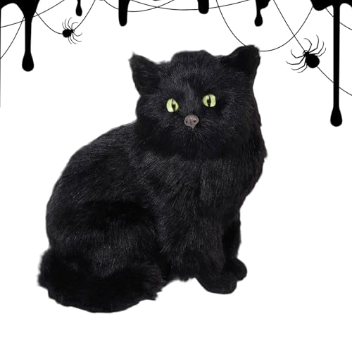ubNLbgtBMA,nEBp LtBM  - 炵z[fR[V  ChA AEghA Lb` t@C[vCX   BbNXfUCƒ̉ȕ͋CoA\t@⑋ӂɎRɗnޔL
