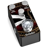 True Bypass Switch provides transparent tone. Premium chip and circuit are used to guarantee almost zero background noise. The delay pedal requires a DC 9V adapter power supply(NOT INCLUDED). Mini size, light weight and whole aluminium alloy case mak...
