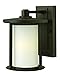 Hinkley 1910OZ-LED Transitional LED Wall Mount from Hudson Collection in Bronze/Dark Finish, See Image