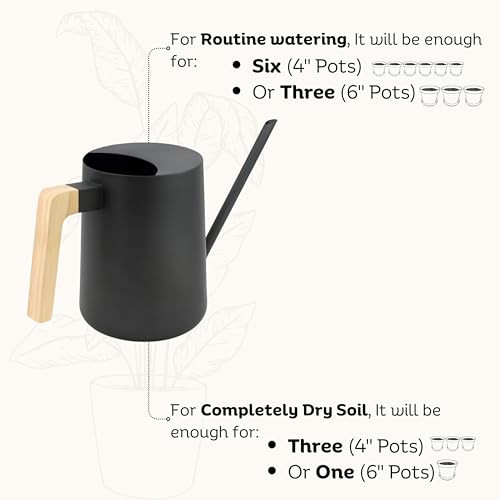 Watering Can for Indoor Plants, 33 oz/1 Liter Metal Stainless Steel Pot with Long Spout for House Plants (Matte Black)