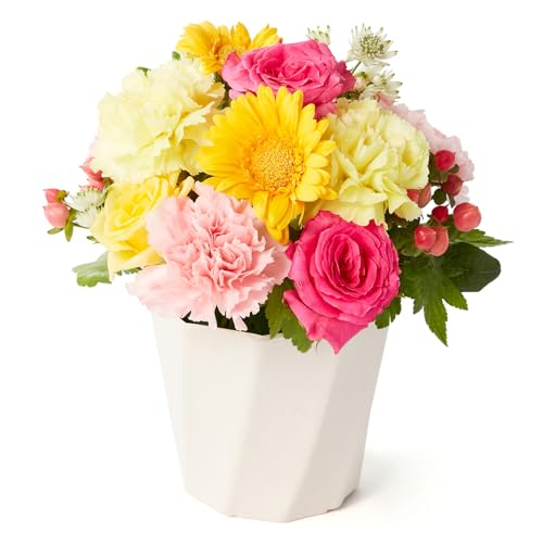 bloomee(u[~[) ̂܂܏ AWg Jt MTCY ( HappyBirthdayJ[h t )  ~j ԑ ( Mtg v[g j ) ސEj j Ǝ JXj t[Mtg ( ԕrsv 