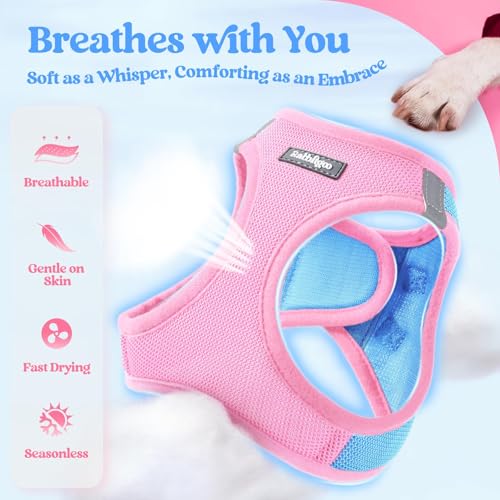 Image of rabbitgoo Dog Harness Medium Sized and Leash Set, Step-in Puppy Pet Vest