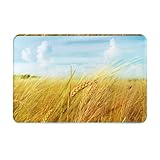 YHLKLWKSZC Welcome Mat,Paddy Rice Field Print Cute Welcome Door Mats Rugs for Entrance Bedroom Bathroom Kitchen, 24x16in