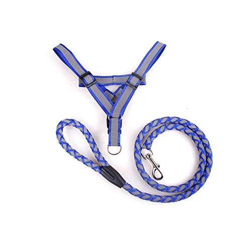 Harnais pour chien anti-traction avec laisse en nylon pour stopper les ecchymoses