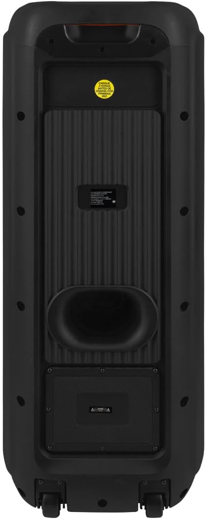 પાછળ view of the Kaiser MSA-2016 speaker