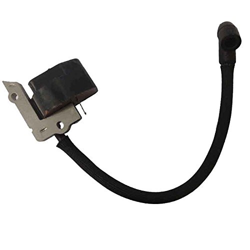 Amazon.com: Poulan 545189701 Iginition Module : Patio, Lawn & Garden