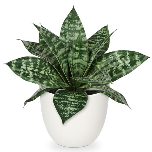 Hollyone Artificial Snake Plants 9" Faux Agave Succulent Plant Potted