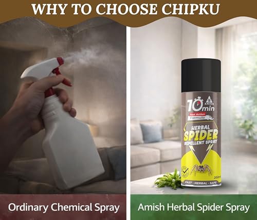 Image of Amish Aerosol Spider Spray 200 ML Pack of 1 Spider Organic Liquid Use for Home /Office 100% Effective in 10 Minutes Spider Repallent
