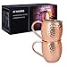 Navaris 2X Taza de Cobre para Moscow Mule - Set de jarras...