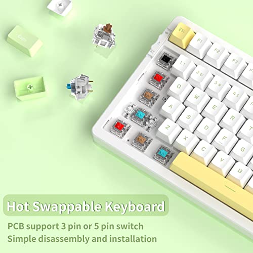NACODEX AK992 99 Key Hot Swappable RGB Custom Gaming
