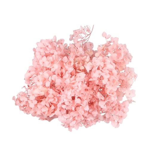 Cabilock 1Pack Pétalos de Hortensia Preservados para Manualidades