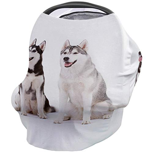 P[v lC |` Jo[ Ɨ  wi 玙XJ[t 360xS Lk ʋC  xr[J[Jo[ oYj t[TCY VbsOXJ[t V[