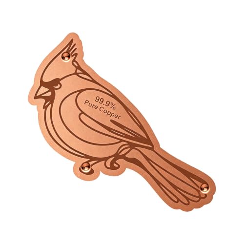 Disco de cobre para bebedero de pájaros de jardín con soporte 2