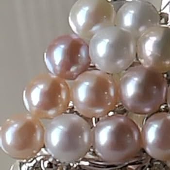 Amazon.co.jp: マルチカラー艷やか本真珠16珠 シルバーリーフぶどう