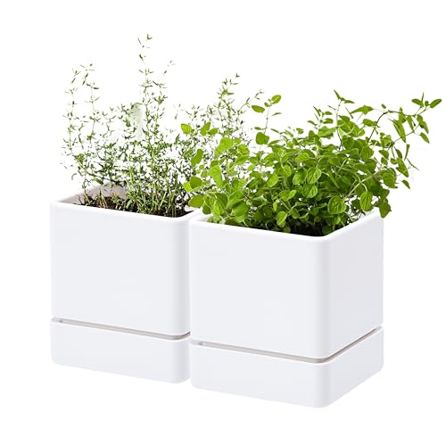 D'vine Dev 4 Inch Herb Planter Pot, Plastic Planter with Drainage Holes and Saucer, Modern Decorative Gardening Pot for Indoor Plants, Flowers, Herbs, Succulents, White, Set of 2, 76-Y-A2-1 by D'vine Dev - Used condition - US$18.80