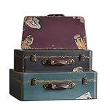 Dieser Fall ist mit Snap-In-Schnalle konzipiert und kann geöffnet werden.