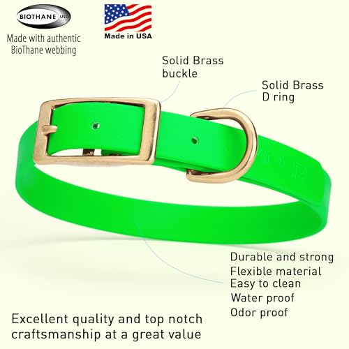 Image of Viper Biothane Heavy Duty Waterproof Dog Collar Strong Coated Nylon Webbing w /Solid Brass Hardware Odor-Proof Easy to Clean High Performance Fits Small Medium or Large Dogs, Tropical Green
