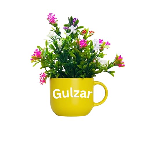 Image of Dekorly Wall Hanging Mug Planters with Artificial Flowers (20CM) - Decorative Hanging Cups, Colorful Floral Wall Decor for Living Room Bedroom Balcony Office Gift Set (3, Zindagi Gulzar Hai)