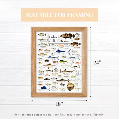 Heritage Puzzle Fishes of The Gulf of Mexico por Diane Peebles 550 piezas | Rompecabezas de 550 piezas para adultos, escena costera de vida marina oceánica 18" x 24" tamaño terminado miniatura 4
