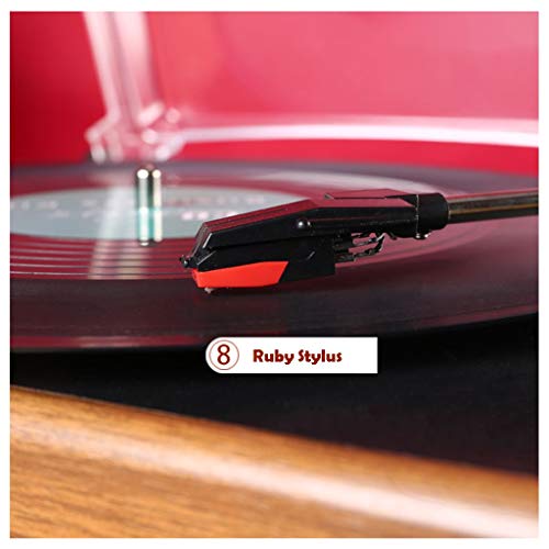 Tourne-Disque en Vinyle avec Stylet, Platine Tourne-Disque pour Tourne-Disque en Vinyle, entraînement par Courroie à 3… - Les Beatles, Paul McCartney, John Lennon, RIngo Starr, George Harrison Tourne-Disque en Vinyle avec Stylet, Platine Tourne-Disque pour Tourne-Disque en Vinyle, entraînement par Courroie à 3… – Image 6