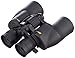 Nikon Aculon A211 8-18X42 Binocolo, Nero immagine