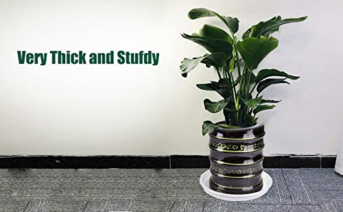 Grespri 6 Packs Clear Plant Saucers 14 Inches Heavy-Duty Plastic Plant Trays, Durable Plastic Flower Plant Pot Saucer For Indoor Outdoor Plants. (12.5 Inch Base) #TOP3