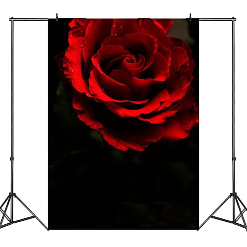 Fondo fotográfico de vinilo 5x7ft negro y rojo miniatura 3