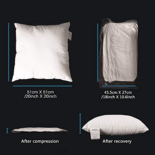 Edow Throw Pillow Insert, Set of 2 Down Alternative Polyester Square Form Decorative Pillow, Cushion,Sham Stuffer. (White, 20x20)