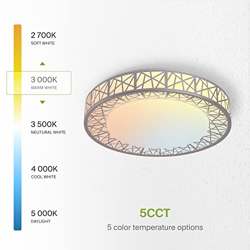 Asd 16 Inch Led Flush Mount Ceiling Light Fixture - Modern Nickel Close To Ceiling Light Fixtures 28W 1576Lm, 2700-5000K Adjustable Dimmable Low Profile Lights For Kitchen, Bedroom, Hallway, Etl #TOP6