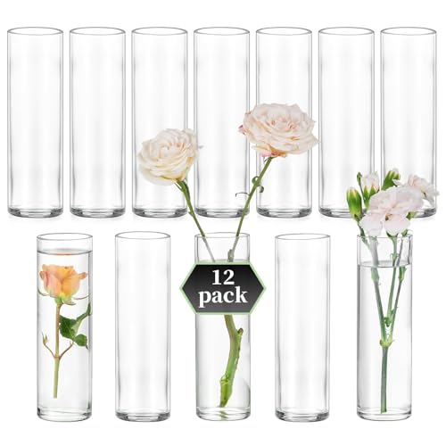 Glasseam Zylinder Vase Glas für Hochzeit: 12er Kleine Vasen Glaszylinder Blumenvasen Set für Tafelaufsätze Tischdeko Home Tisch Deko - Klein Blumenvase Modern Glasvasen für Blumen Rosen Glasseam Zylinder Vase Glas für Hochzeit: 12er Kleine Vasen Glaszylinder Blumenvasen Set für Tafelaufsätze Tischdeko Home Tisch Deko - Klein Blumenvase Modern Glasvasen für Blumen Rosen