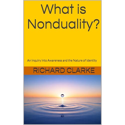 What is Nonduality? Audiolibro Por Richard Clarke arte de portada