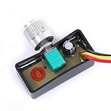 Adjustable Pressure Switch of Electric Spray, 12V Motor Spee...