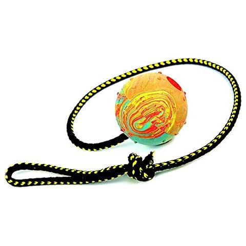 Dingo Fetch Ball with String for Dog Training Cover