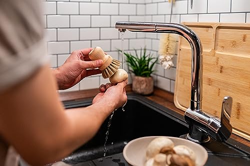 Foto von Chinchilla® Champignonbürste/Pilzbürste aus Holz | zur Reinigung von Pilzen oder Gemüse | für alle Pilze geeignet | Küchenbürste | Naturbürste | Nachhaltige Reinigungsbürste