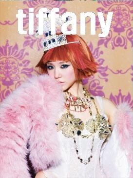 KPOP CD, SNSD, Girls Generation 4th album I GOT A BOY TIFFANY VER / 40p Photobook (choose member)[002kr]