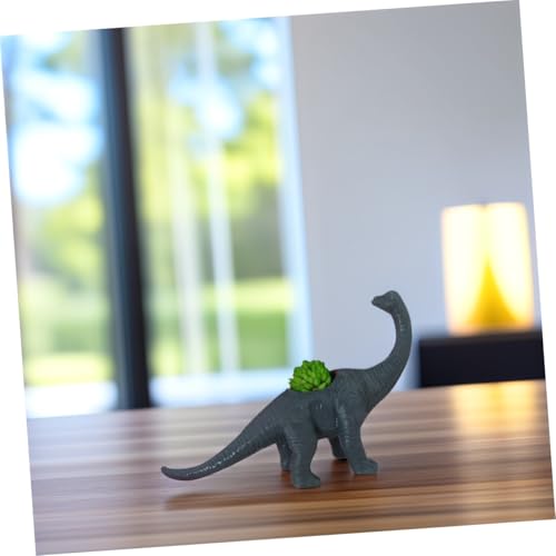Pots de fleurs succulentes dinosaures mini conteneurs bonsaï HEMOTON