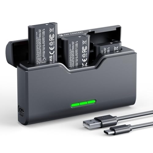 K&F CONCEPT NP-BX1 Battery and Charger Set Compatible with Sony ZV-1 ZV-1 II Cyber-Shot DSC-HX80 HX90V HX95 HX99 RX1 RX1 RX1R II
