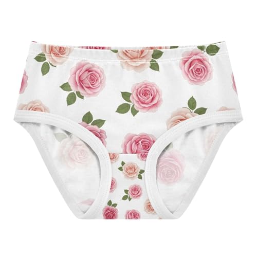 Kids Underwear, Vintage Pink Roses Toddler Briefs, Cotton Underwear Girls, 2T–8 Years