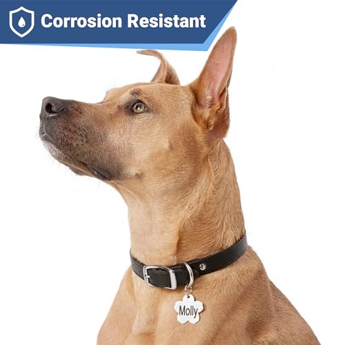 GoTags Stainless Steel Pet ID Tags, Personalized Dog Tags and Cat Tags, up to 8 Lines of Custom Text, Engraved on Both Sides, in Bone, Round, Heart, Bowtie and More (Flower, Regular (Pack of 1)) - Thumbnail 4
