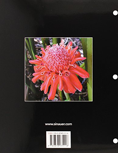 Plant Physiology - Image 2