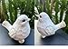 realideas Set of 2 White Bird Decor for Home Decor, Farmhouse Bird Decor Bird Statue Sculpture - Decorative Carved Rustic Distressed Animal Bird Decor Ornaments - Collectible Bird Figurine | Spring