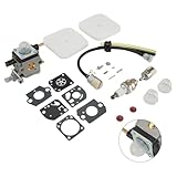 NEIQIUWING Vergaser für 2-Takt-Motoren für Mantis...