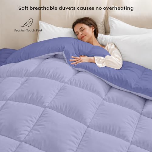 Image of AYKA Reversible Comforter 220 GSM Microfiber Reversible AC Comforter /Blanket for Winter /Quilt /Dohar /Duvets for King Size Blanket /Comforter Double Bed (Lavender & Blueberry, 90 * 100)