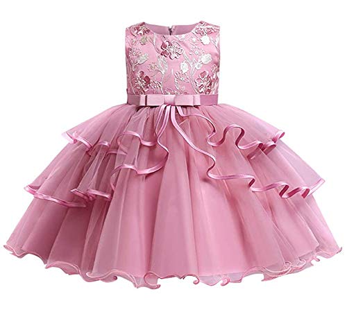Flower Girls Embroidered Lace Tulle Dress Bowknot Princess Wedding Birthday Party Communion Pageant Dance Ball Gown