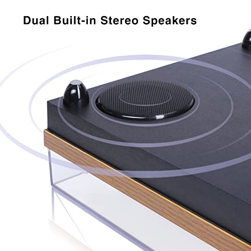 Platine Vinyle, Chinflly Tourne Disque Vinyle à Encodeur Numérique Portabl Bluetooth avec Haut-parleurs Stéréo Intégrés… - Les Beatles, Paul McCartney, John Lennon, RIngo Starr, George Harrison Platine Vinyle, Chinflly Tourne Disque Vinyle à Encodeur Numérique Portabl Bluetooth avec Haut-parleurs Stéréo Intégrés… – Image 4