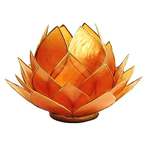 Titular de vela portavela Capiz forma de flor de loto Color naranja 13,5 cm