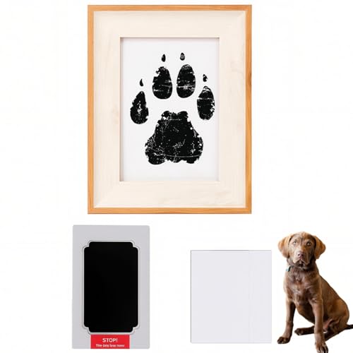 Lifetips `FTs[NExCEgo[ ybgp  X^v Lbg ^  ``X^v `쐬Lbg LO  Ȃ `    ` ^ ȒP S y Ճpbh IWi vg ] 