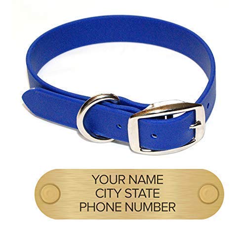 cleaning dog collars